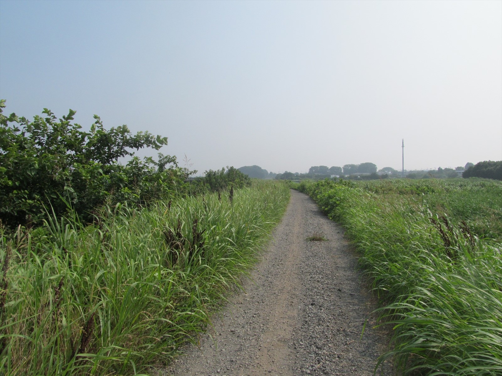 作業前
