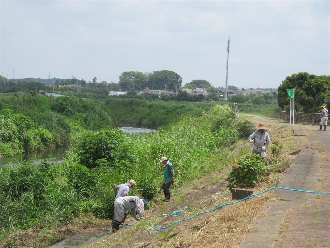 作業中
