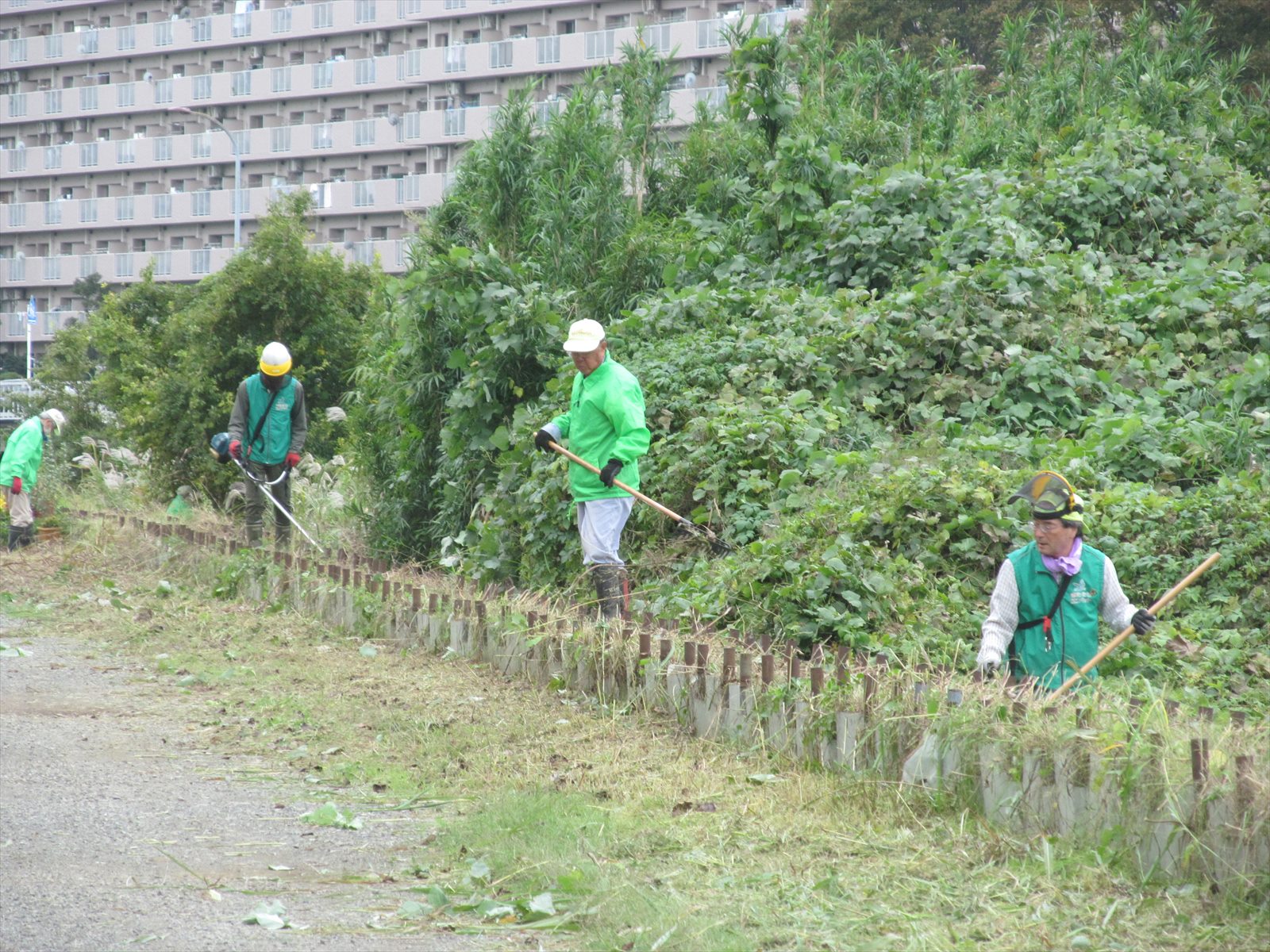 作業中