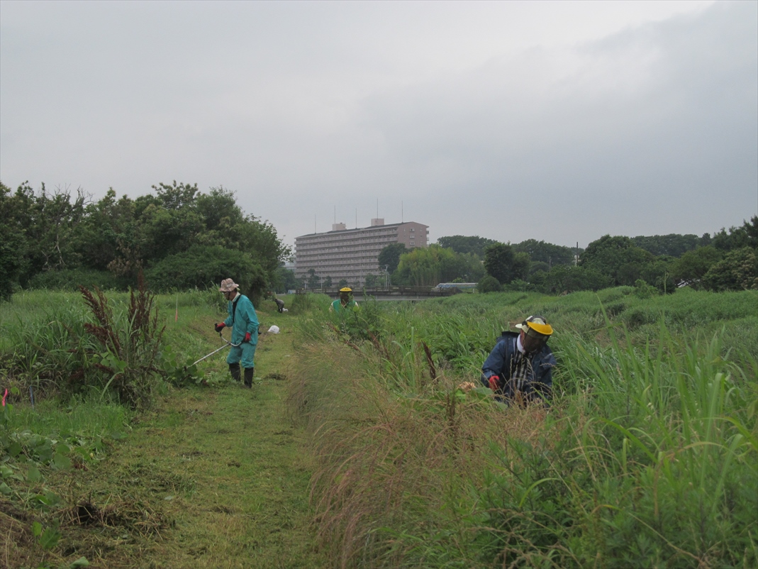 作業中