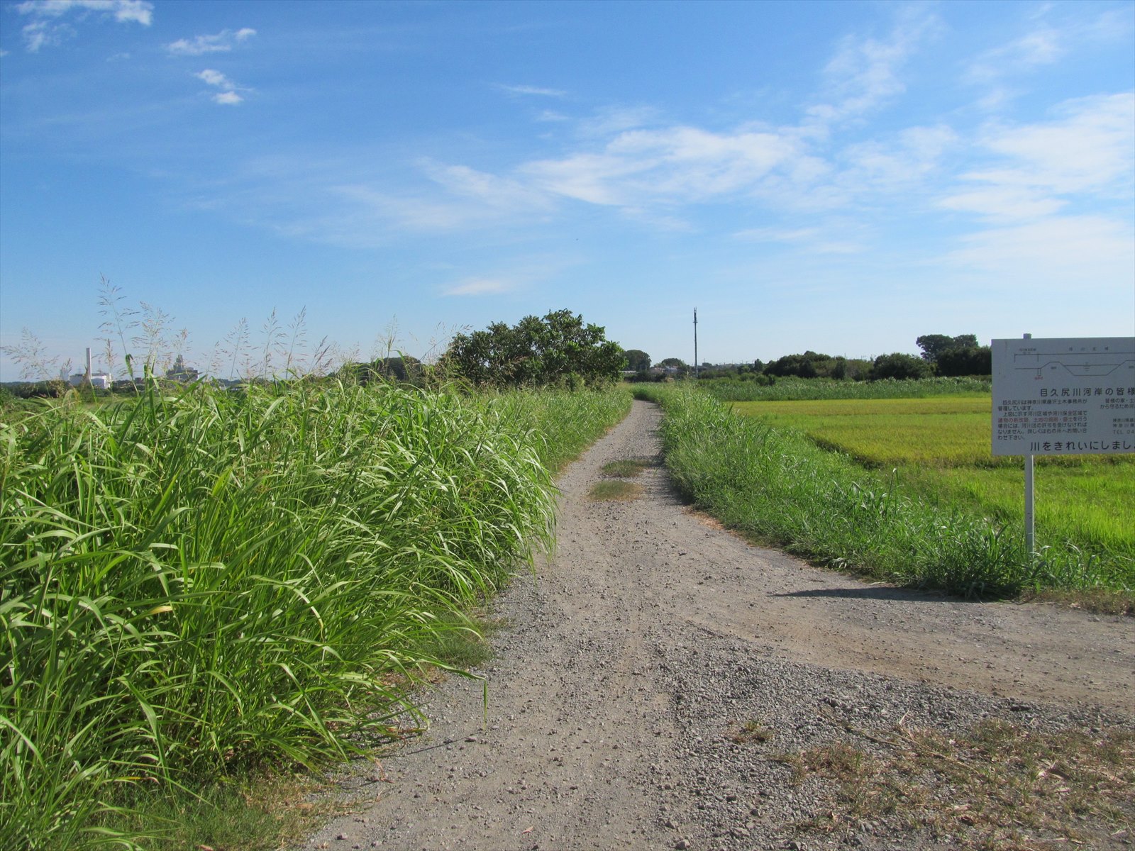 作業前
