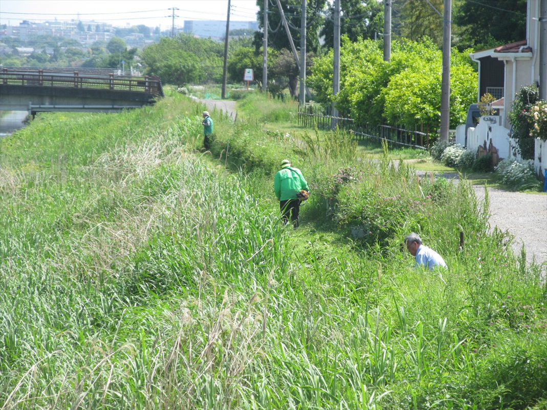 作業中