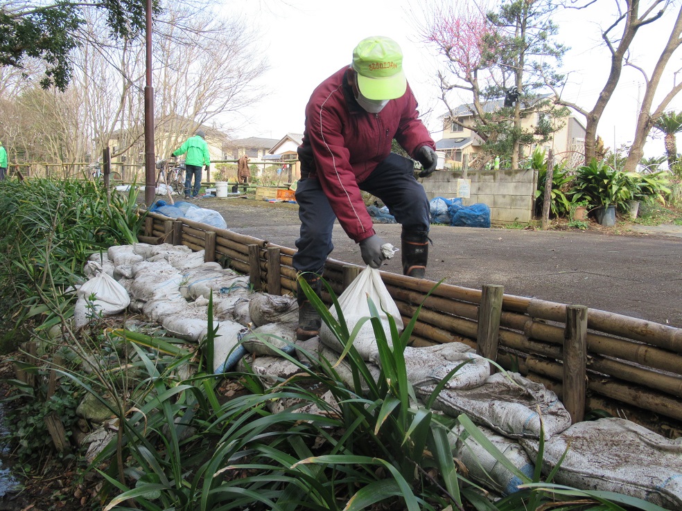 作業中　土嚢による土手の補強