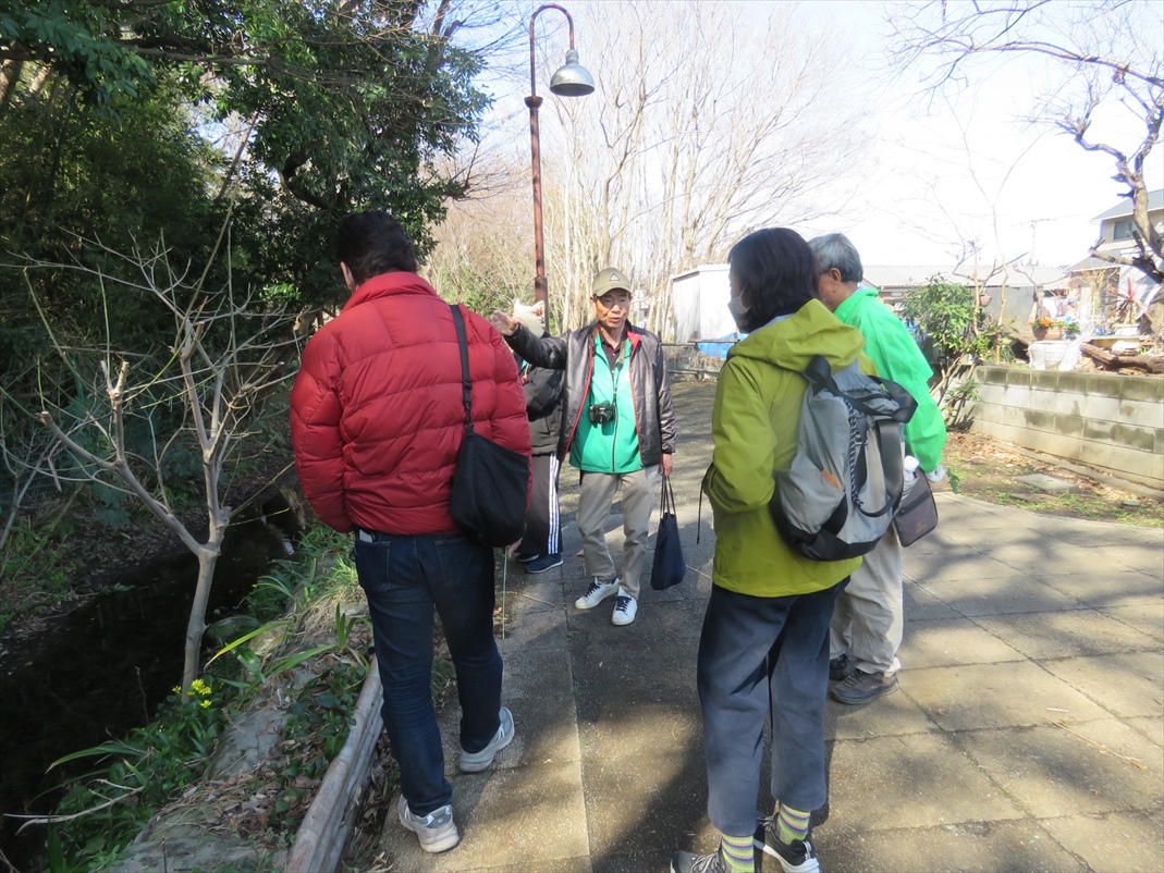 旧目久尻川ふるさと緑道_野鳥観察場