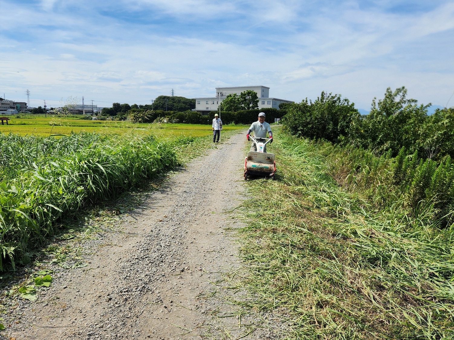 作業中