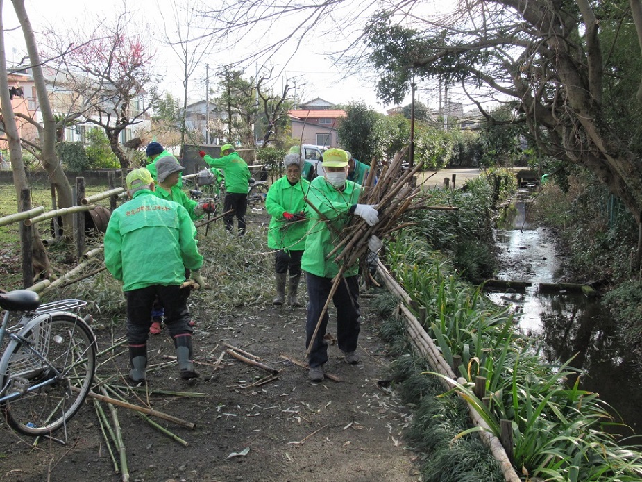 作業中　枯れた竹の運搬