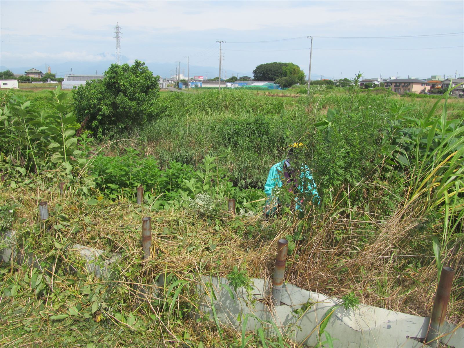 作業中
