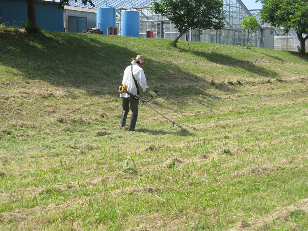 作業中