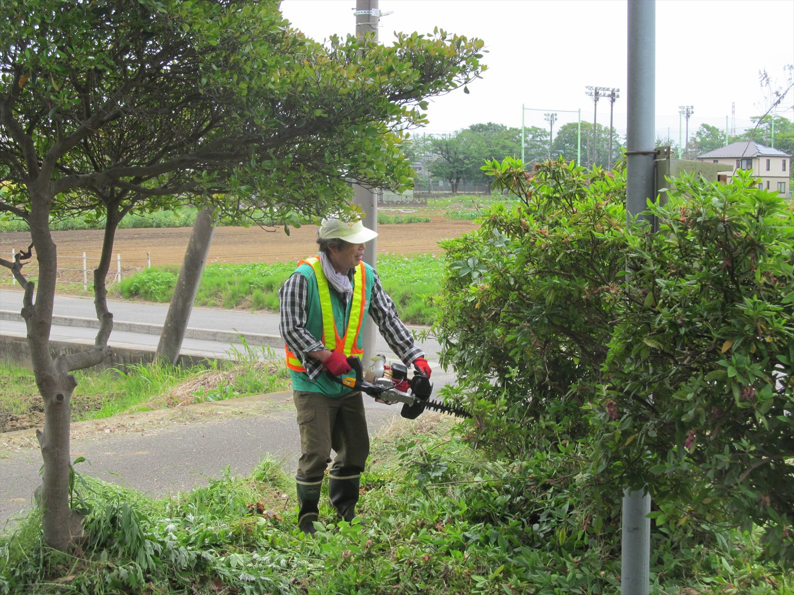 草刈再開_ヘッジトリマーでの小公園整備