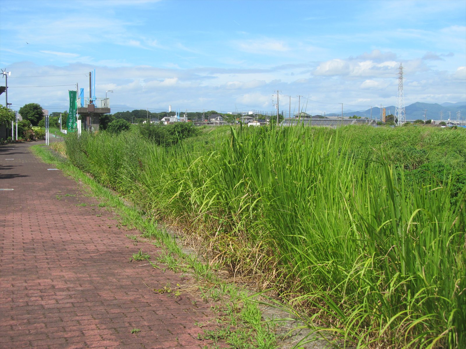 作業前