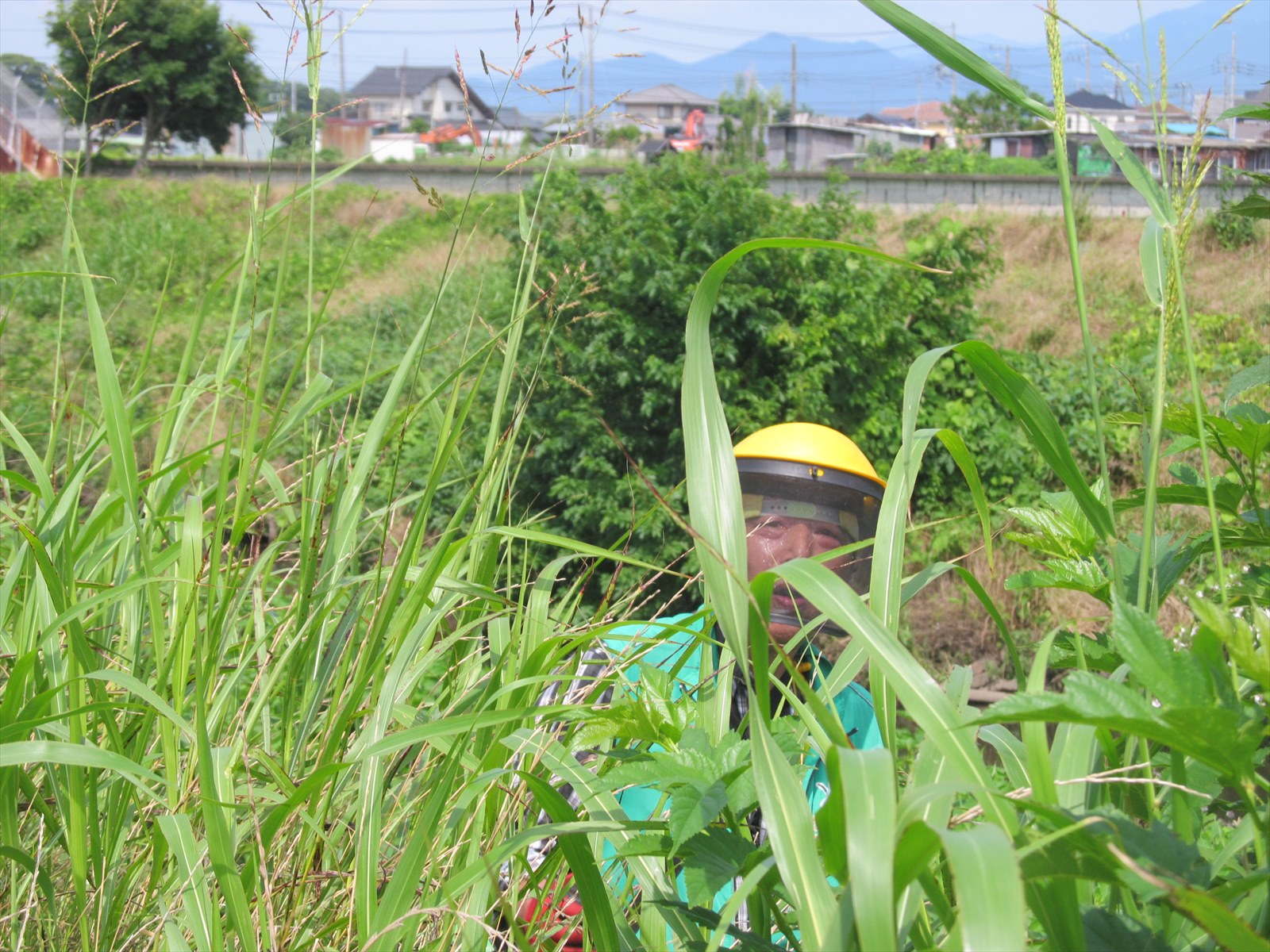 作業中