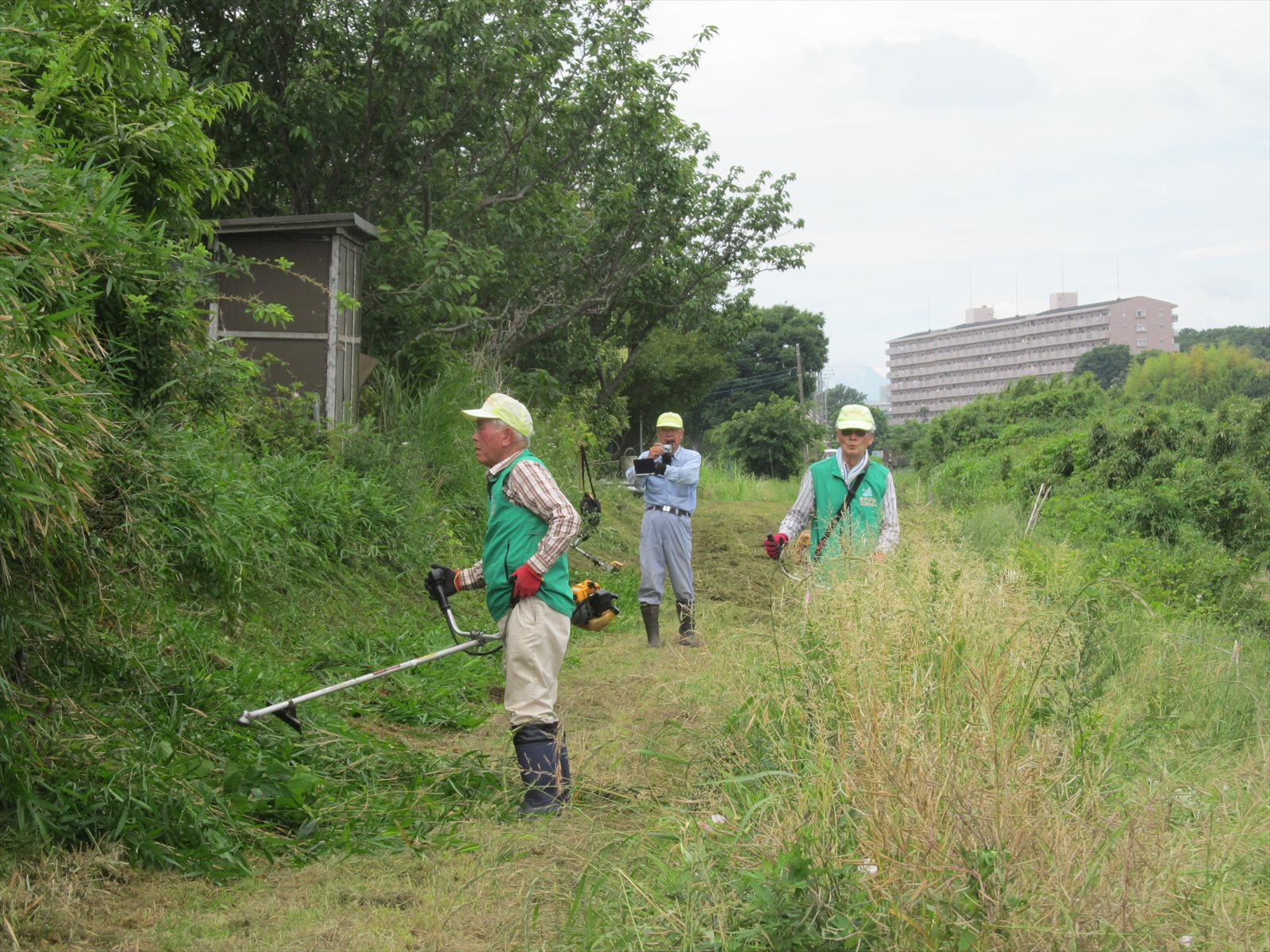 作業中