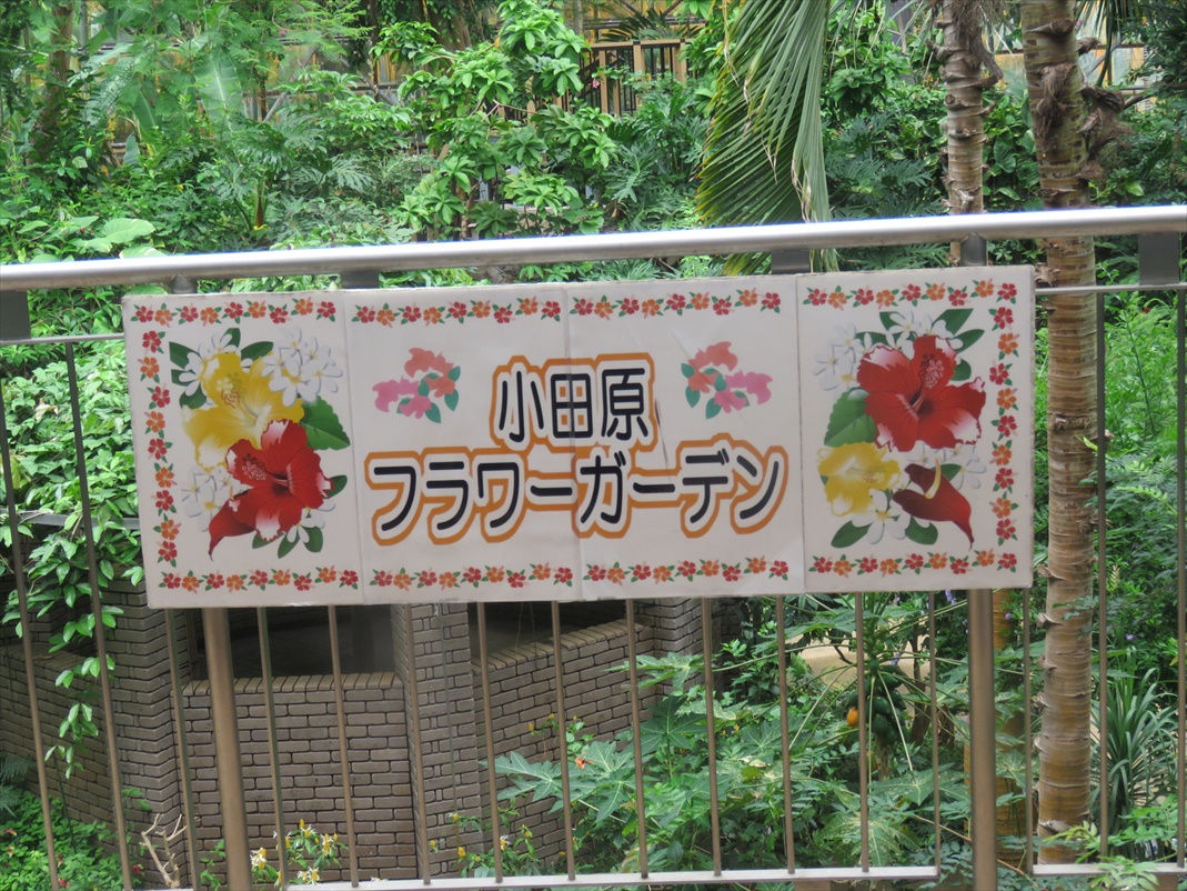 小田原フラワーガーデン着