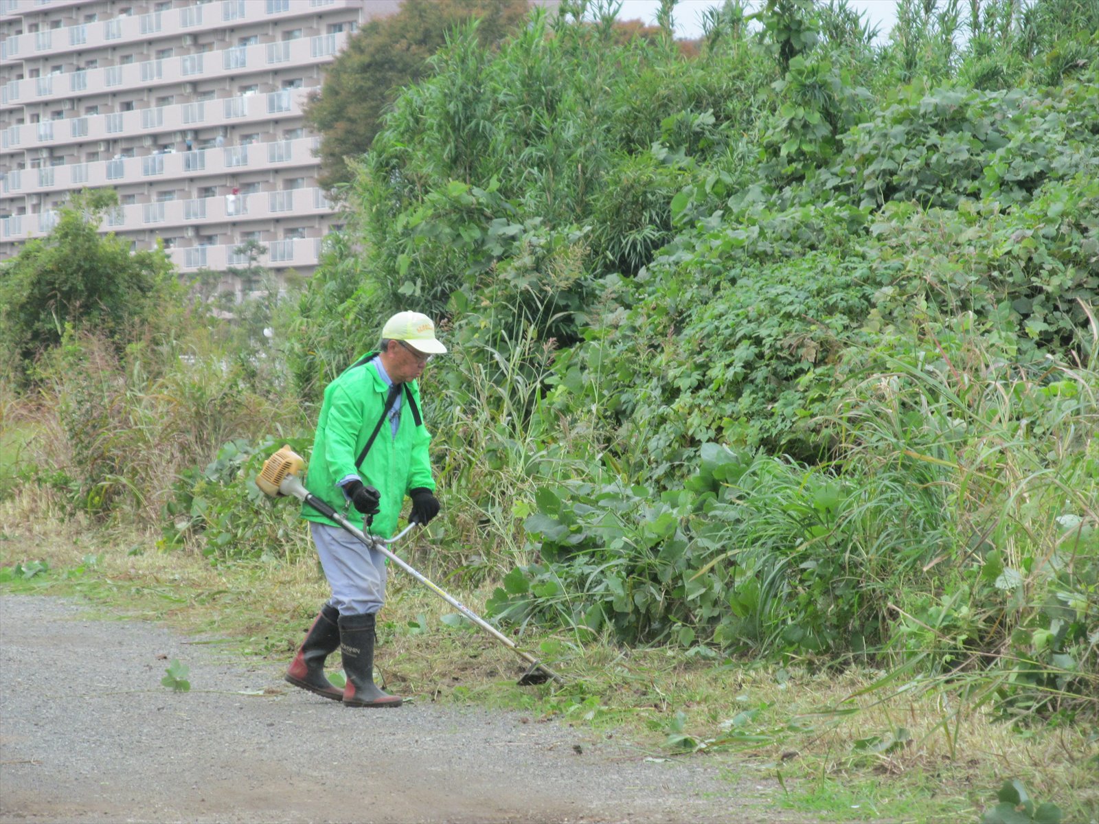 作業再開
