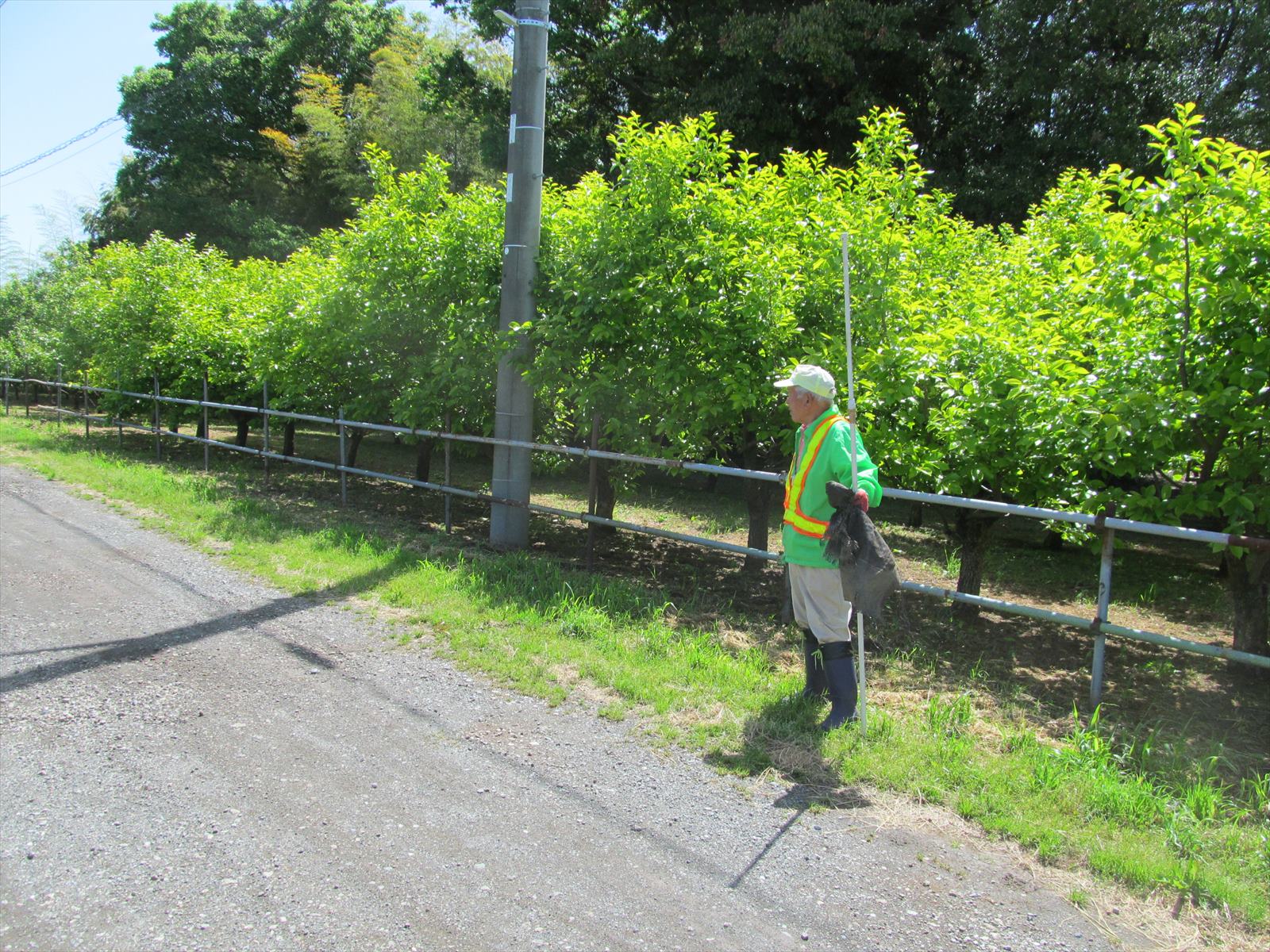 草刈作業中