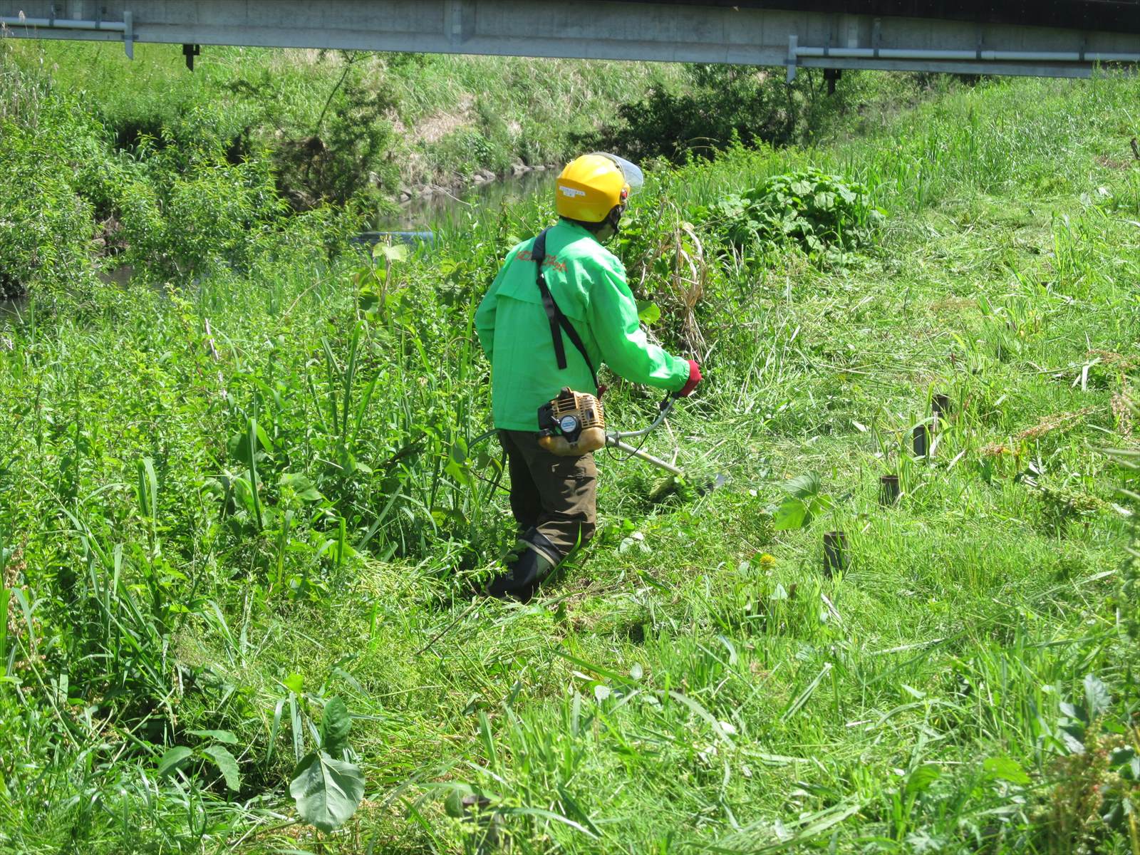 草刈作業中