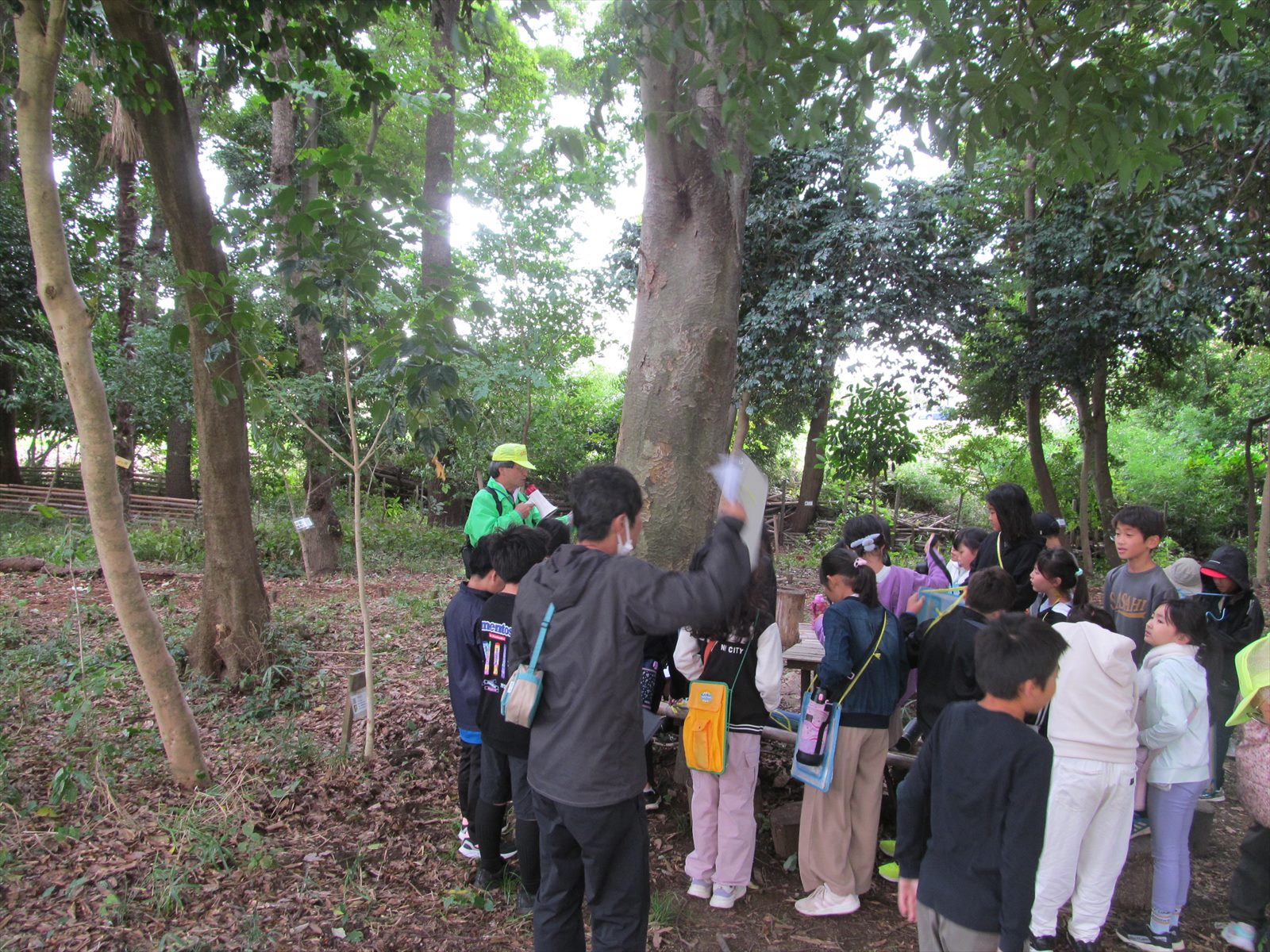 自然観察の森にて_自由観察