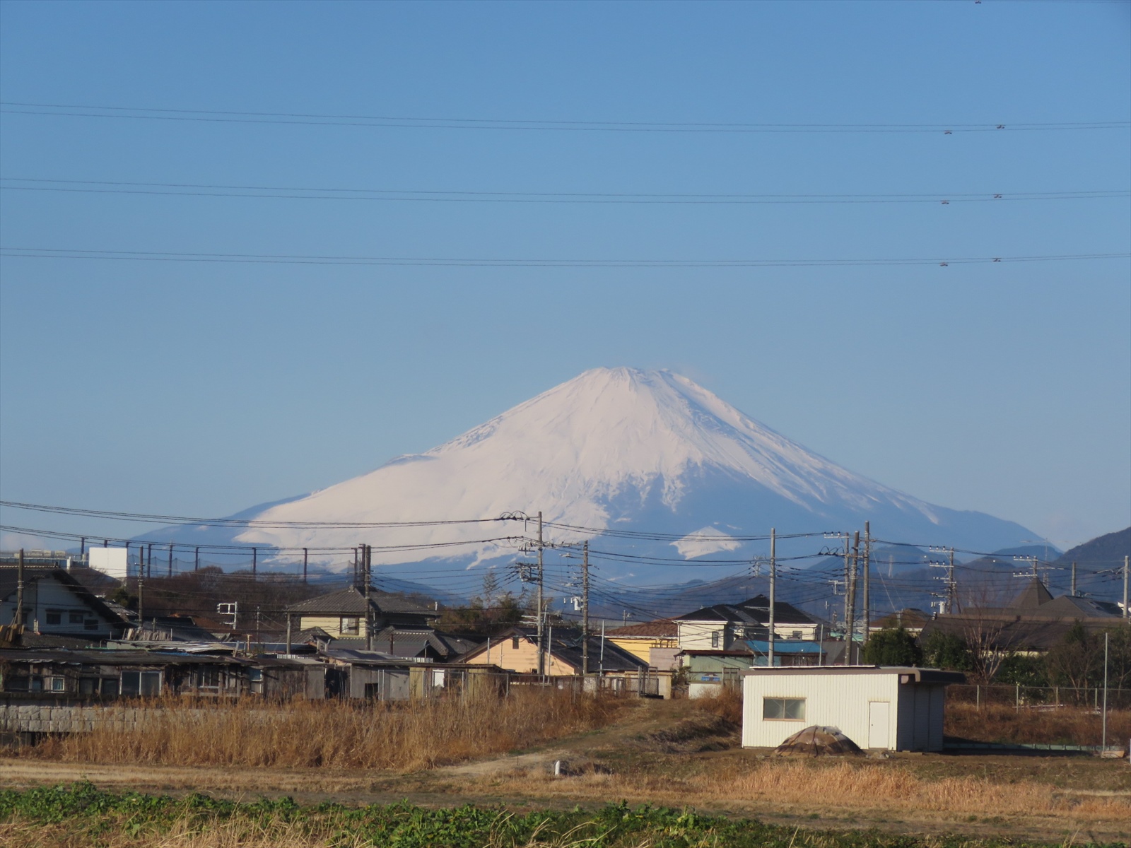 今日の富士山