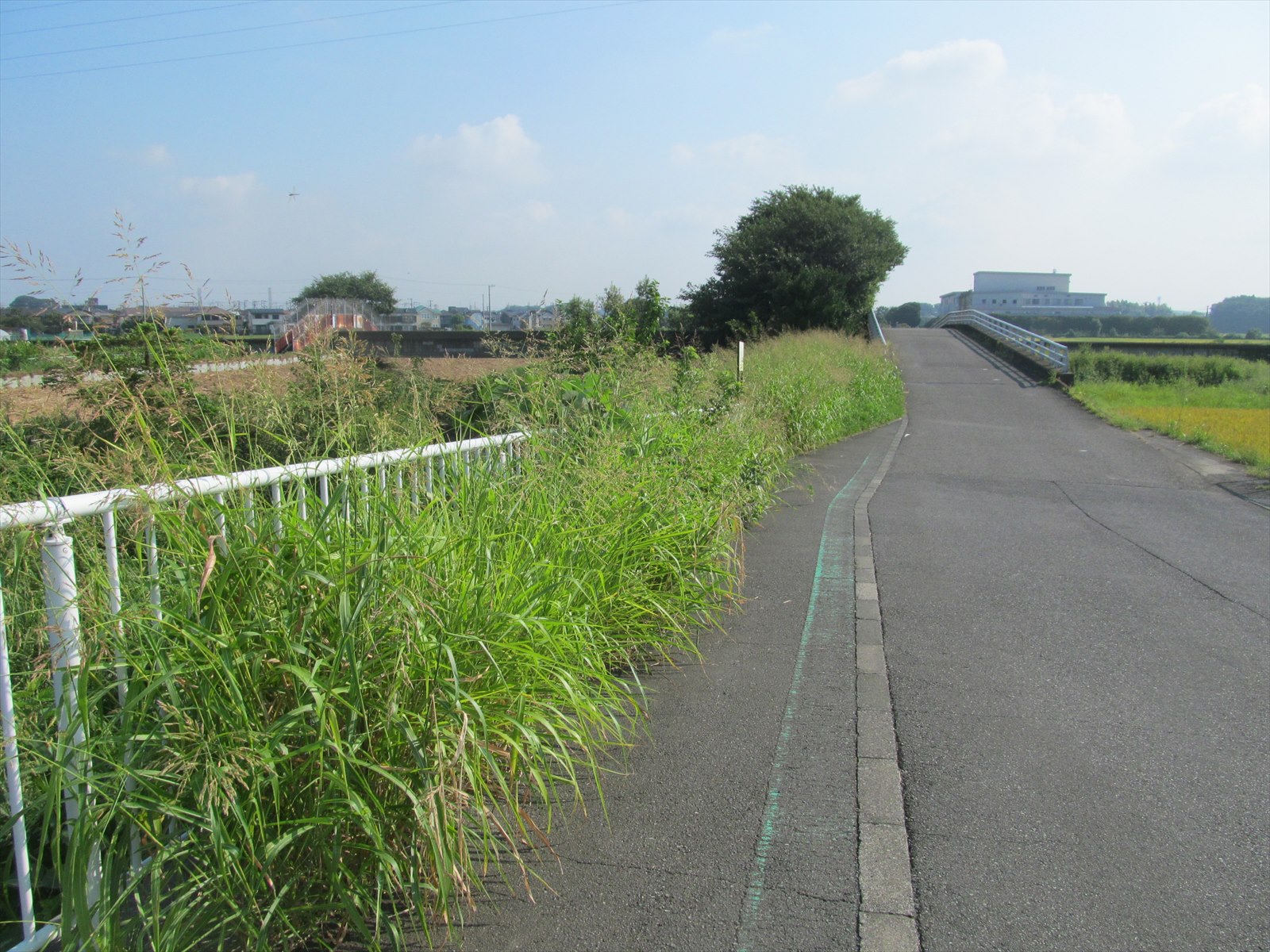 作業前