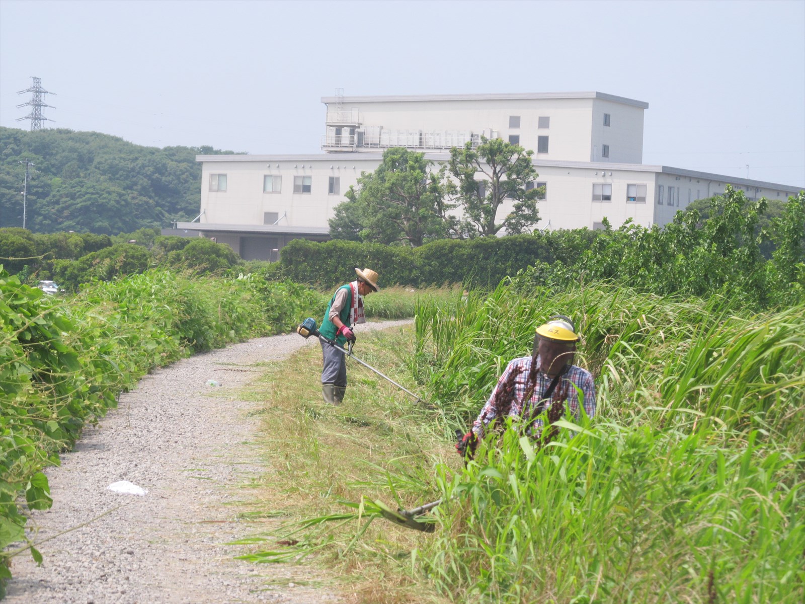 作業中