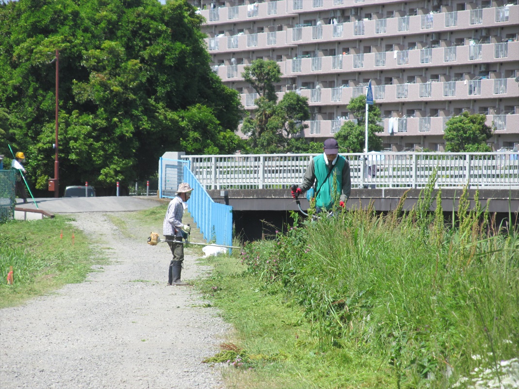 作業中