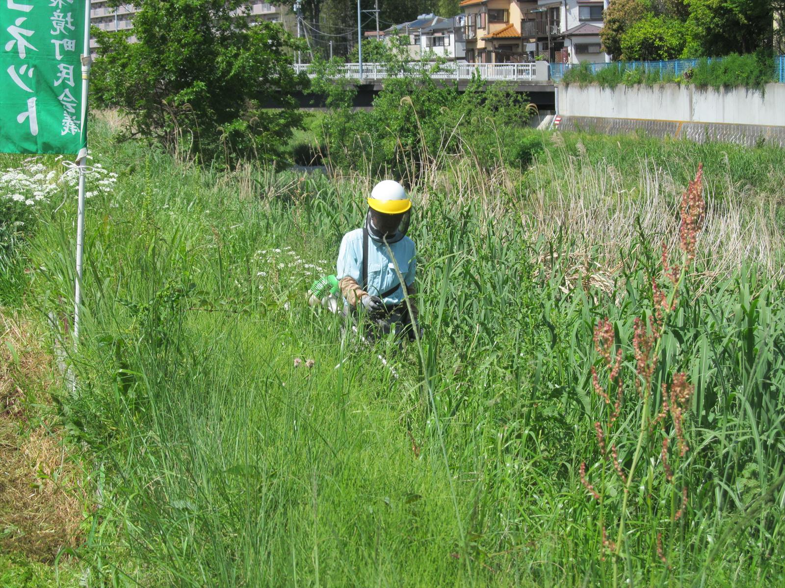 草刈作業中