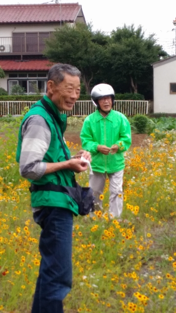 小出川昇天橋下流右岸の花畑にて。おじいちゃんと花畑（１）