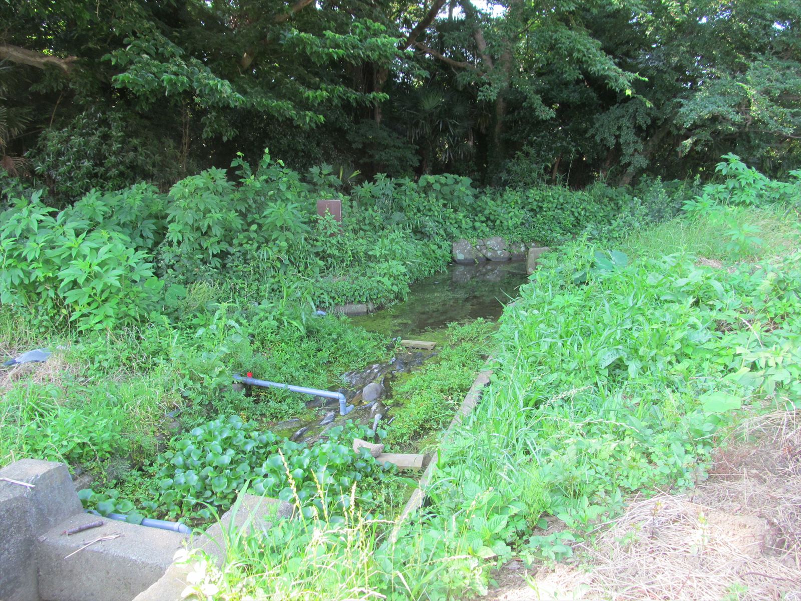 作業前