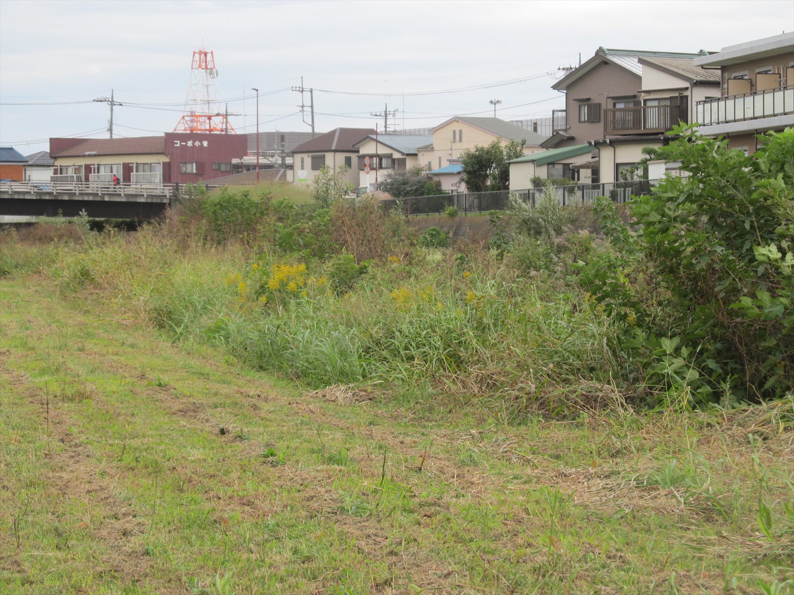 作業前
