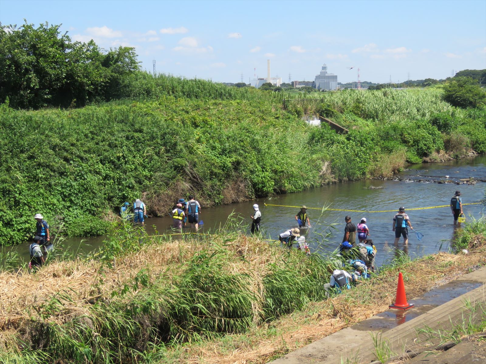 生き物採取中