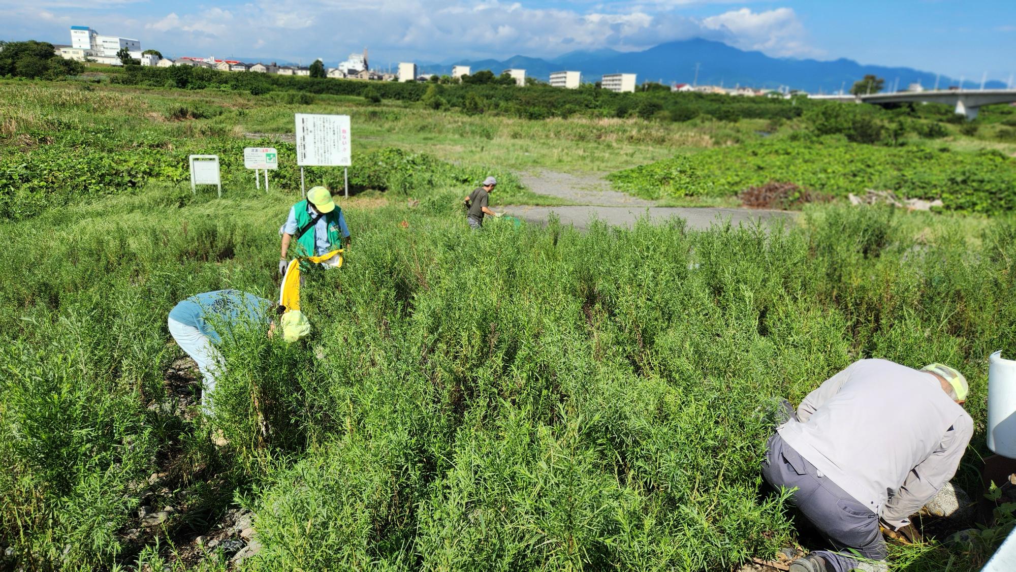 圃場入口の整備