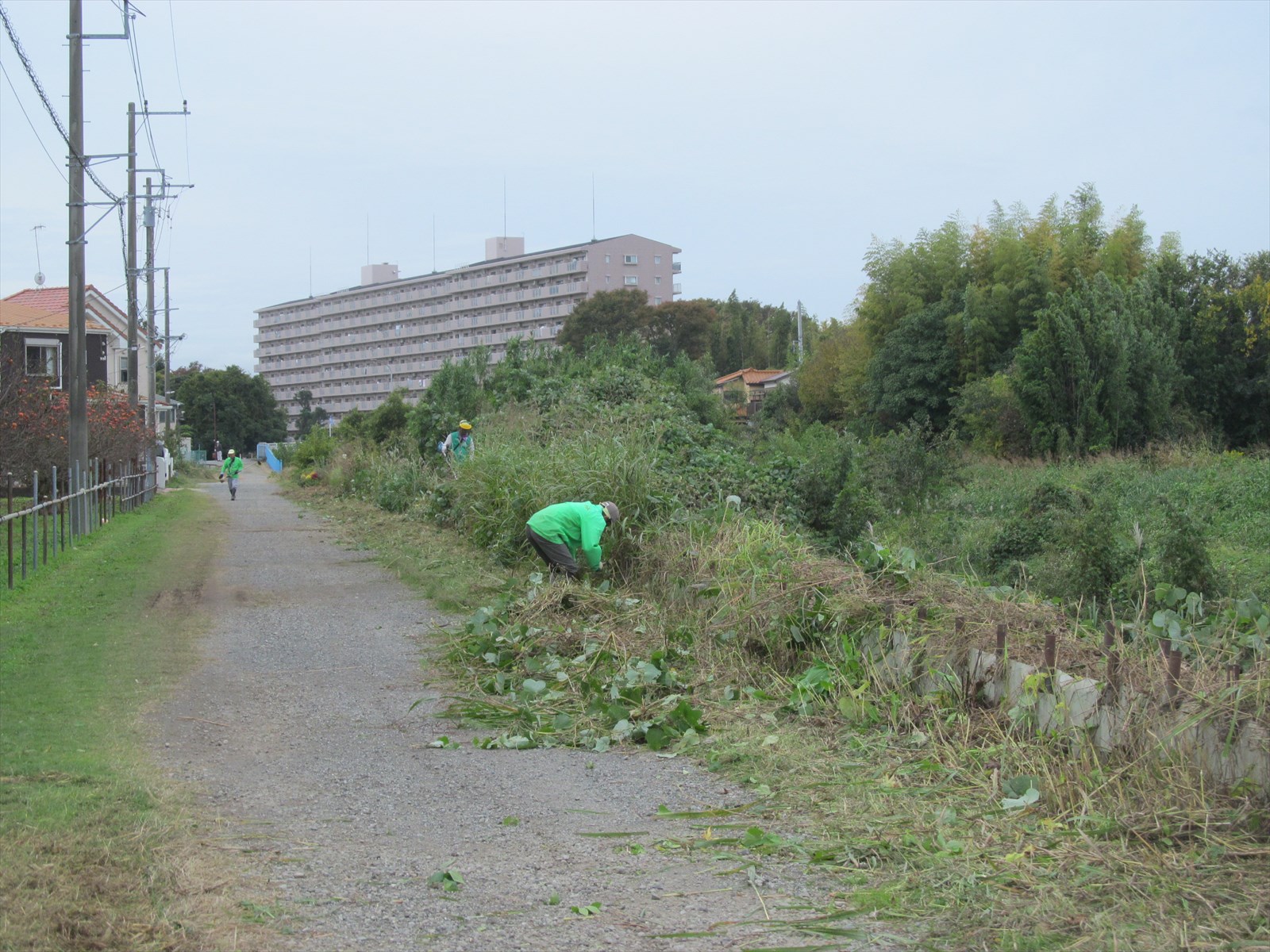 作業中