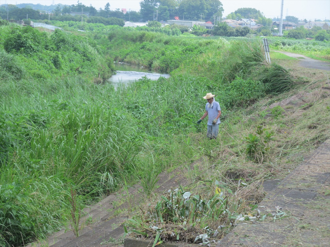 作業再開