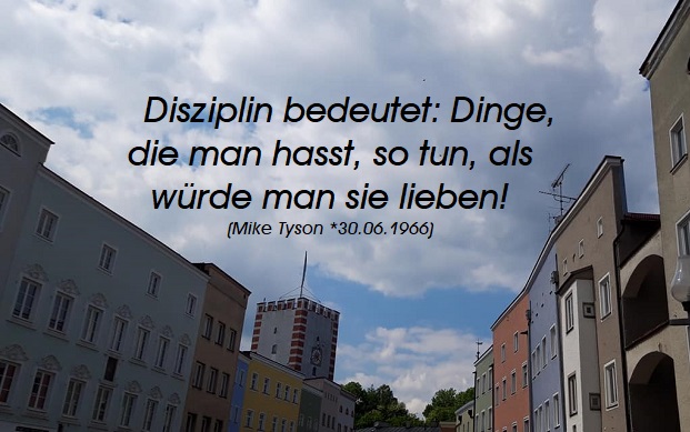 Disziplin  in Zusammenhang mit „Lernen“