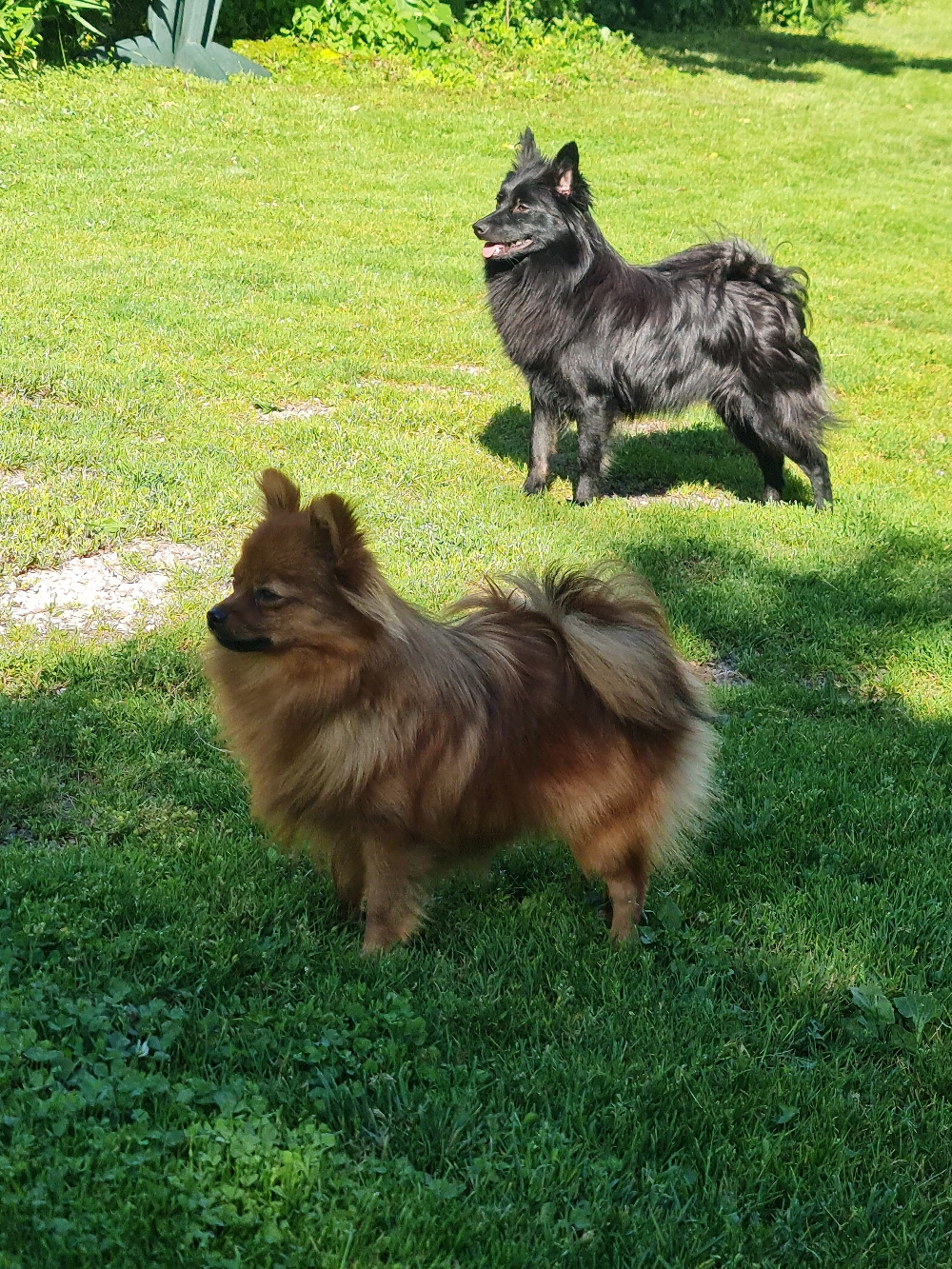 Ulane et Una
