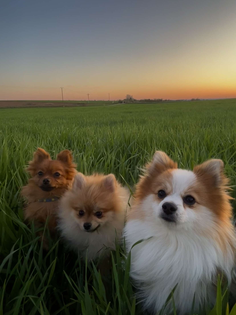 Ulane, Bony et Isy 