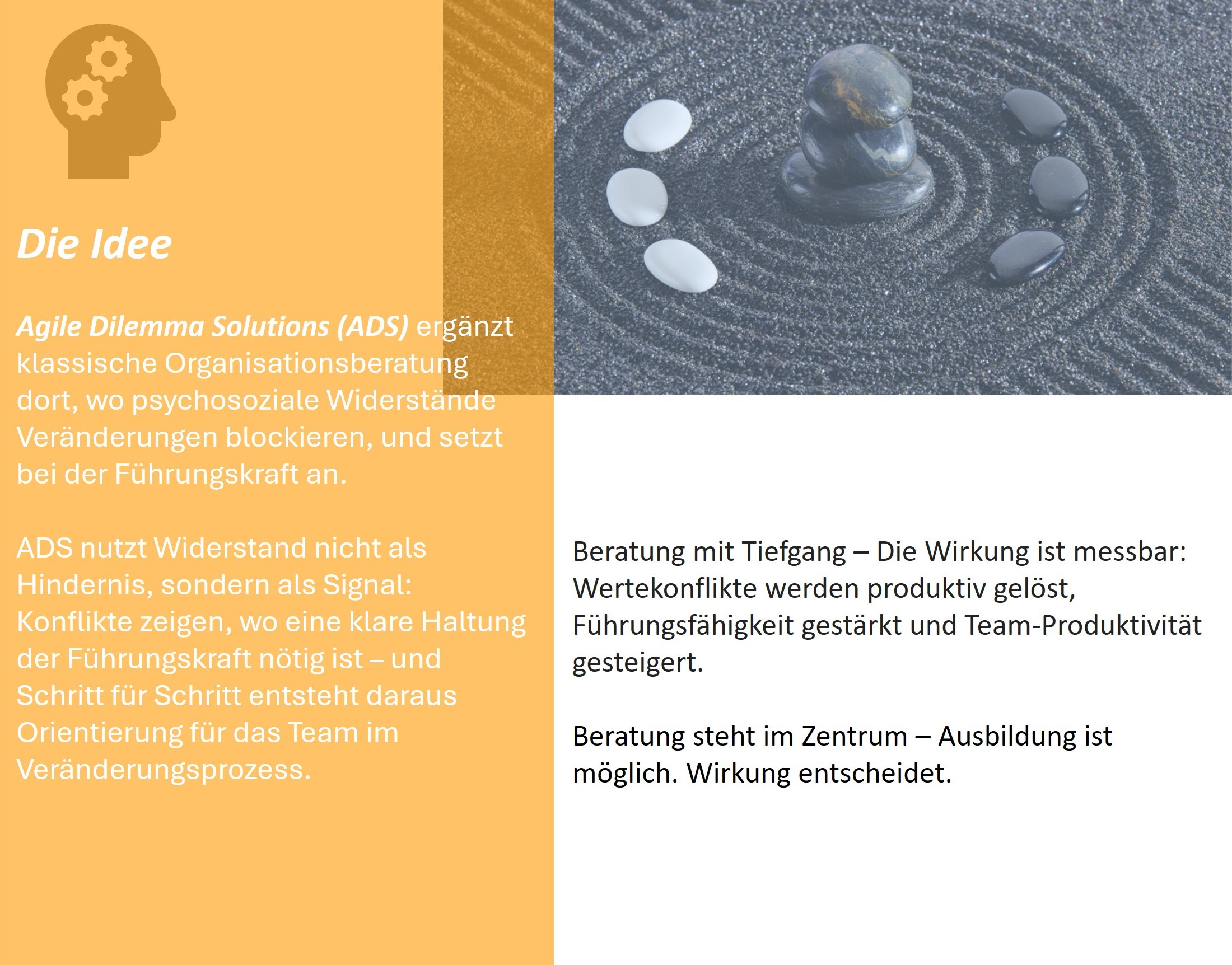 Agile Dilemma Solutions – Die Idee