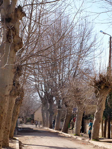 Fahrt nach Ifrane