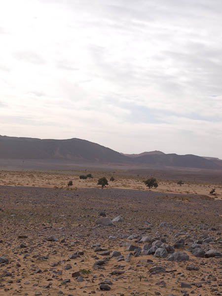 Geröllwüste bis zu einer 150 m hohen Düne (Erg Chebbi?)