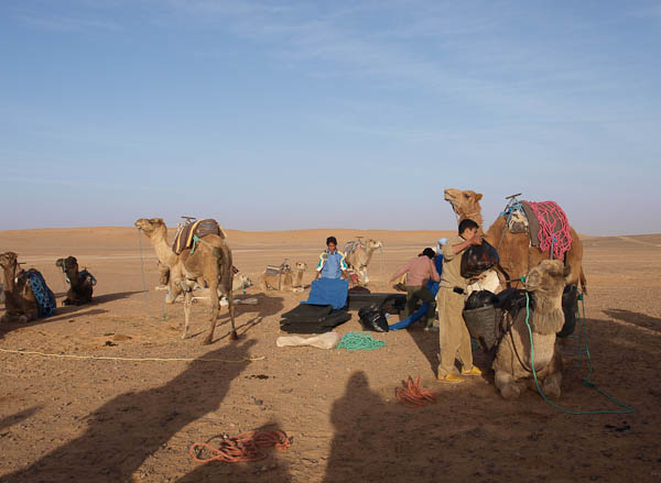 Ankunft Sahara - Führer der Wüstentour mit Reit- und Lasttiere