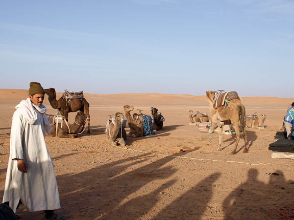 Ankunft Sahara - Führer der Wüstentour mit Reit- und Lasttiere