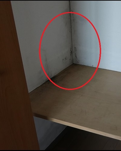 カビが発生した部屋