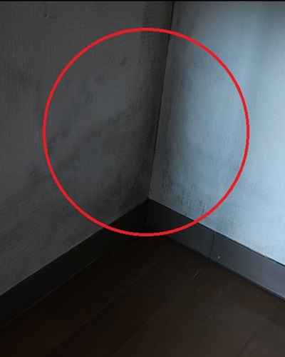 カビが発生した部屋で退去の立会いが有りました