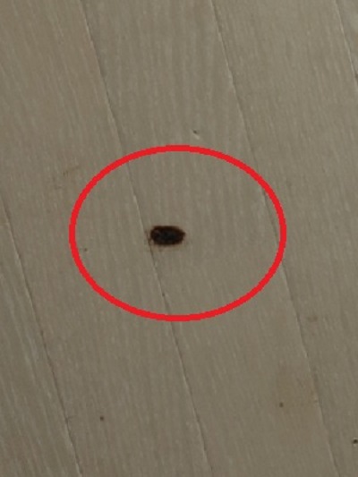 タバコ床クッションフロアの焦げ跡
