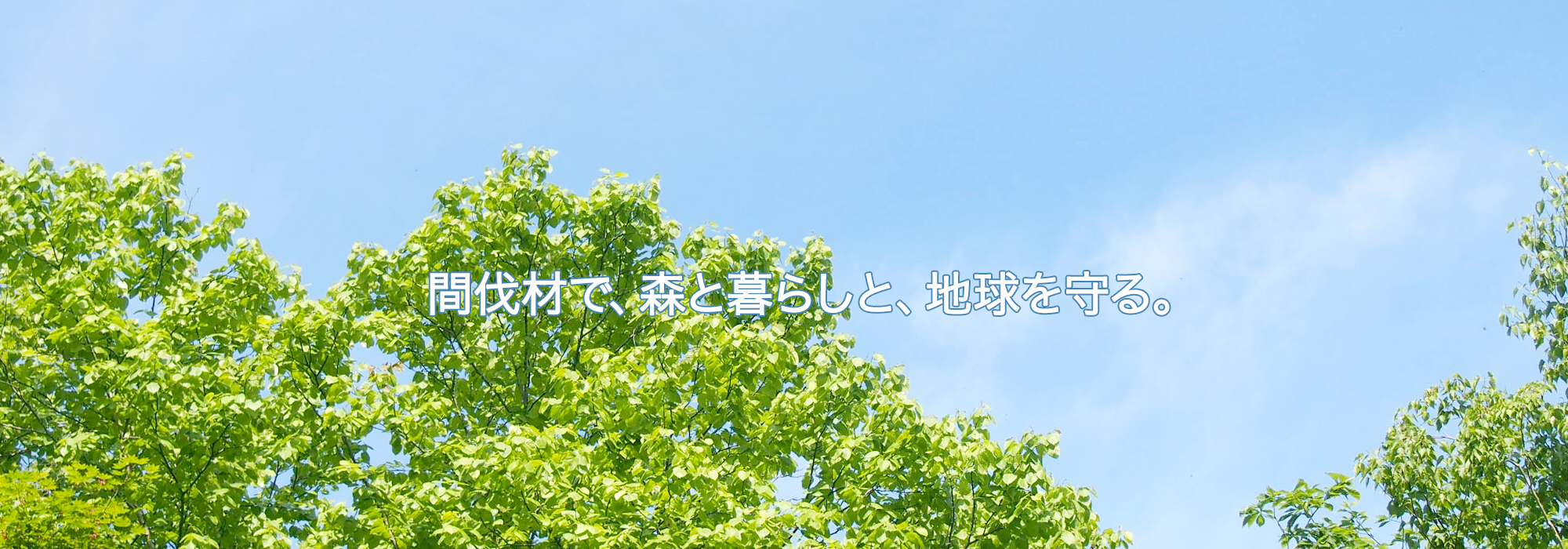 中谷産業株式会社