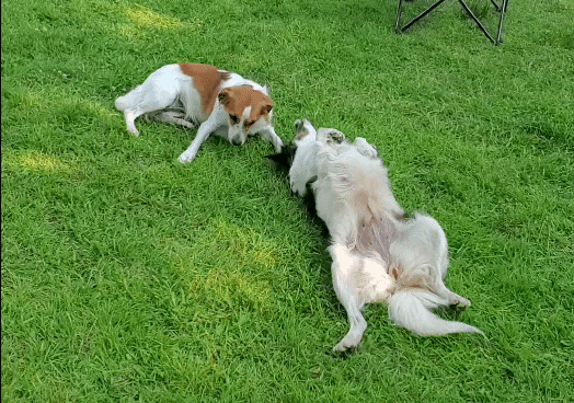 Mutter und Tochter 🤗