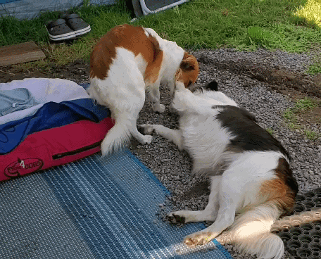 Leia und Mama Bonita 😘😘