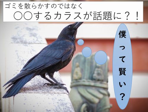 フランスのテーマパークで雇われた6羽のカラス フィールドホームズ株式会社 Jimdoブログ フランスのテーマパークで雇われた6羽のカラス フィールドホームズ株式会社 Jimdoブログ