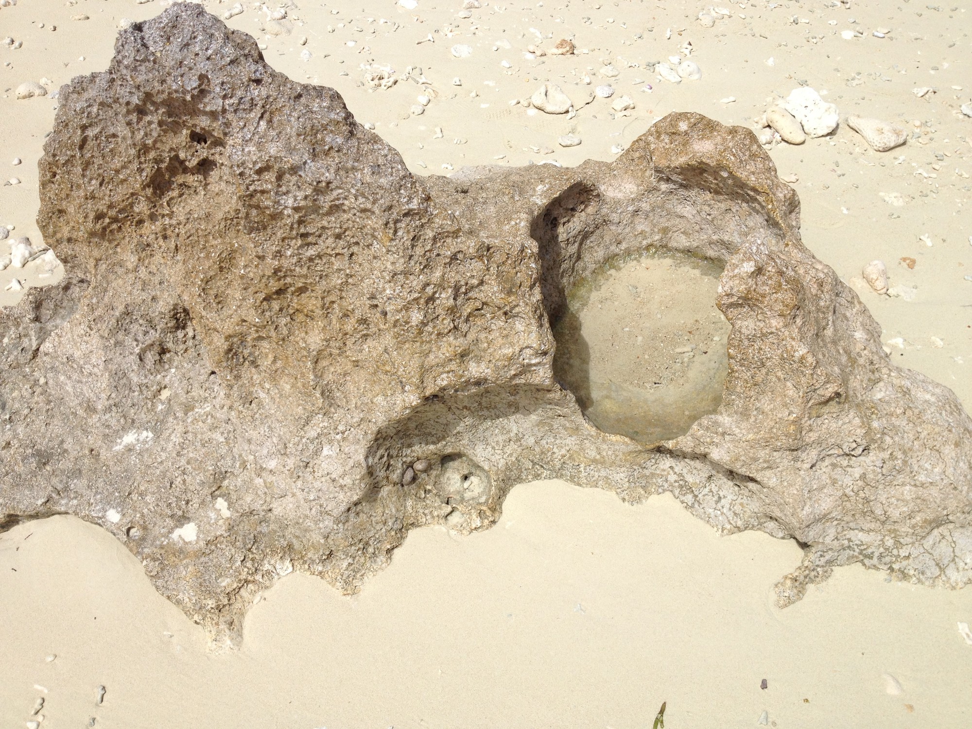 オトーリすとっぷ otooristop ページ！