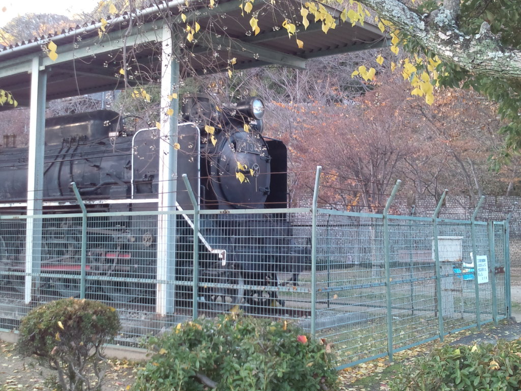 太子山公園のＤ51型345号ﾚﾌﾟﾘｶ蒸気機関車